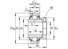 підшипник G1008-KRR-B-AS2/V INA