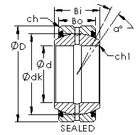 підшипник GEZ63ES-2RS AST