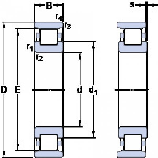 підшипник N 205 ECP SKF #1 image