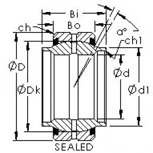 підшипник GEWZ101ES-2RS AST #1 image